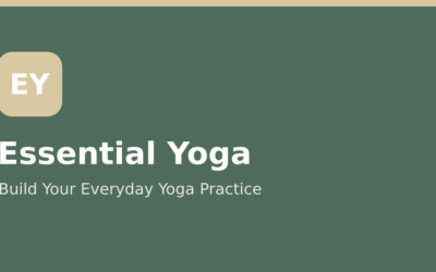 Balance Pose Modifications